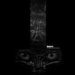 The Well Of Light Has Finally Dried ( Vinyl ) - B002J9C50I