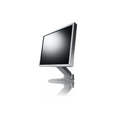 Eizo FlexScan S1901SE 48,3 cm (19 Zoll) TFT Monitor (LCD, DVI-D, VGA, 6ms Reaktionszeit) grau