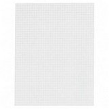 2-Sided Quadrille Pad, 4x4 Squares/Inch, 17"x11", White/Faint Blue Ink, 50/Pad AMP22037 2-Sided Quadrille Pad, 4x4 Squares/Inch, 17"x11", White/Faint Blue Ink, 50/Pad AMP22037