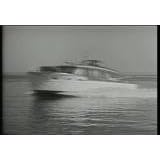 Killer Shrews (1959) A disparate group are trapped on a remote island by a hurricane.