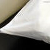 Cloud9 Standard Zippered Pillow Protector 20x27