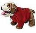 MINI Cooper Bulldog with Jacket