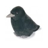 Buy American Crow - Audubon Plush Bird (Authentic Bird Sound) by Audubon Birds