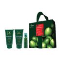 Rene Furterer Fioravanti Gift Set for Shiny Hair