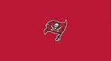 Tampa Bay Buccaneers Pool Table Felt