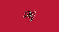 Tampa Bay Buccaneers Pool Table Felt