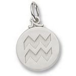 Aquarius Charm