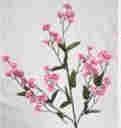 Baby Breath Stem-Pink