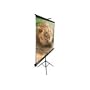 Elite Screens Tripod Portable Projection Screen, 16:9 Aspect Ratio-100in (Max White)
