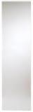 HOME DECOR INNOVATIONS 16x60 Rect Door Mirror