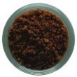 Gourmet Espresso Coffee Infused Sea Salt - 5 Ounces in Glass Jar