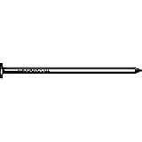 Maze Nails 5Lb 8D2 1/2Hardie Nail Cem8 5 Wire Nails 11 6xK8K0hL. SL160 Maze Nails 5Lb 8D2 1/2Hardie Nail Cem8 5 Wire Nails