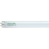 Satco S8406 F17t8/841/Env 17w Fluorescent W/ Medium Bi-Pin Base - Warm