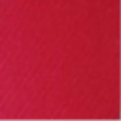 Red Professional Twirling Baton Bag Case with Shoulder Strap - Majorette, Color Guard, Twirler Gift