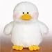 Duck Webkinz