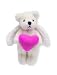 Finders Key Purse Angel Bear Keychain