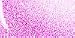 Kat Von D Lightning Sheer Lip Gloss Bam