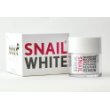 Snail white cream filtrate secretion skin care acne fac…