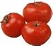 New Jersey Garden State Tomatoes 1 full case 20 lbs ships NEXT DAY air