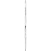 Fischer Vision Skate Ski - Women's