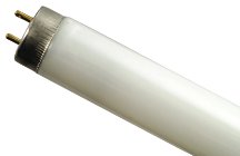 Medium Bi-Pin Fluorescent Tube T-12