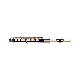 Gemeinhardt 4psh Plastic Piccolo