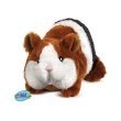 Webkinz Guinea Pig