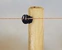 Insulator for wooden post