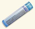 Bryonia 30C - 80 - Pellet