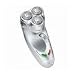 Remington R-960 Titanium Rotary Microflex Cord/cordless Mens Shaver, R960 with 2 Year Warranty and World Wide Voltage