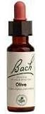 Bach - Olive 20 Ml