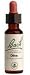 Olive Tincture 20 ml, 0.70 fl. oz.