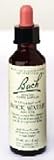 Bach Flower Essence - Rock Water
