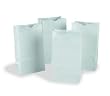RAINBOW BAGS 100 WHITE 6"X11"