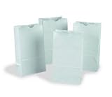 RAINBOW BAGS 100 WHITE 6"X11"