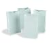 RAINBOW BAGS 100 WHITE 6"X11"