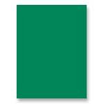 Pacon 20" x 30" Kolorfast(R) Tissue, Holly Green