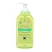 Health & Personal Care : Garnier Nutritioniste Nutri-pure Detoxifying Gel Cleanser 6.7-Ounces
