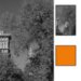 B + W 58mm #041 Glass Filter - Red/Orange #22