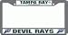 Tampa Bay Devil Rays