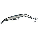 Sliver Needlefish