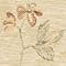 Ella Floral, Light Gold