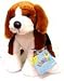  - Ganz Webkinz Adopt a Pet Plush Beagle