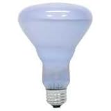 BULB 65 R30 FL REVEAL