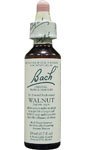 Walnut - 20 ml - Liquid