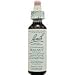 Bach Essence Walnut 20 Liquids