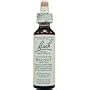 Bach Essence Walnut 20 Liquids