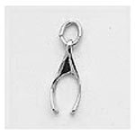 Wishbone Charm