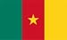 Cameroon Flag