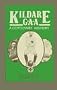 Kildare GAA a Centenary History